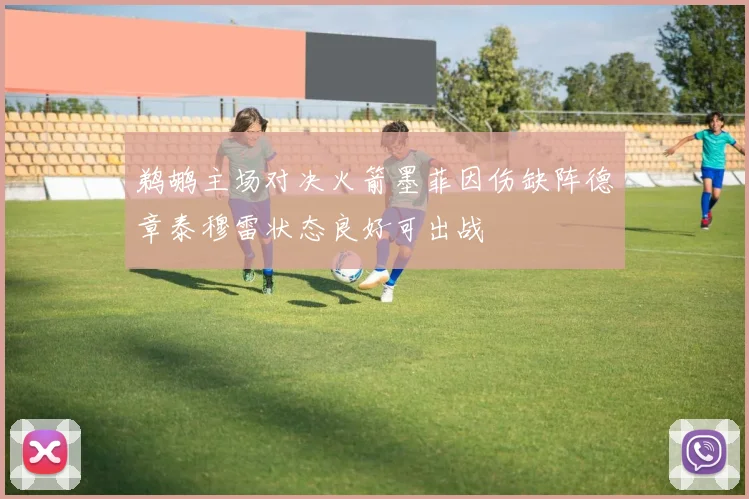 鹈鹕主场对决火箭墨菲因伤缺阵德章泰穆雷状态良好可出战